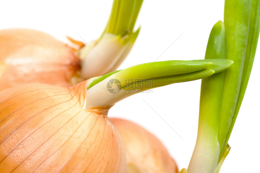 散状洋葱绿色蔬菜发芽白色球茎食物收成黄色图片