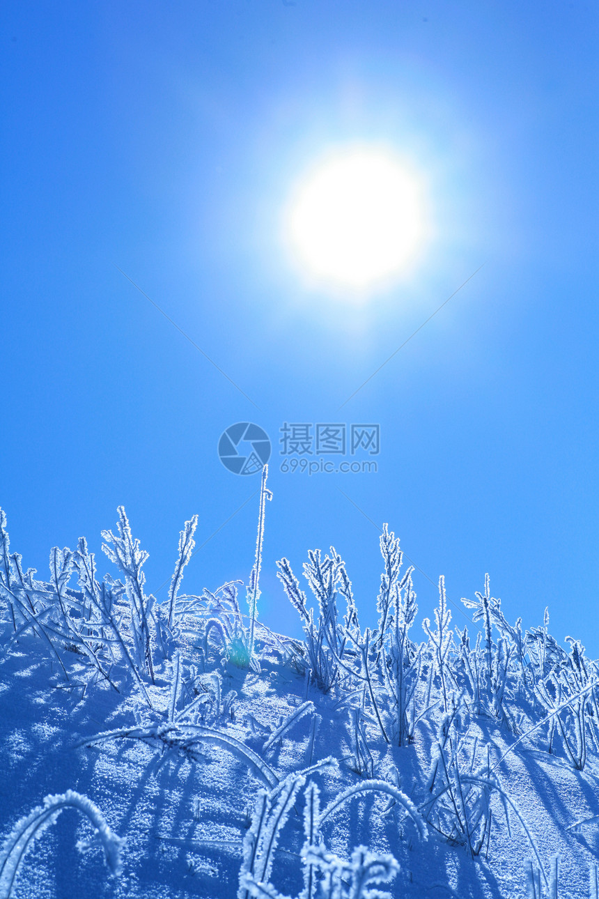 冰厂冻结火花雪花太阳水晶白色衬套天空天气蓝色图片