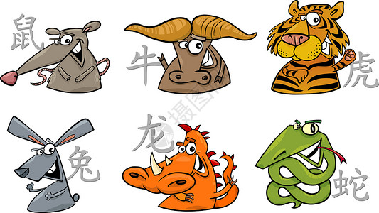 6个中国黄鼠疫症状夹子庆典动画片兔子微笑日历十二生肖生物爬虫插图背景图片