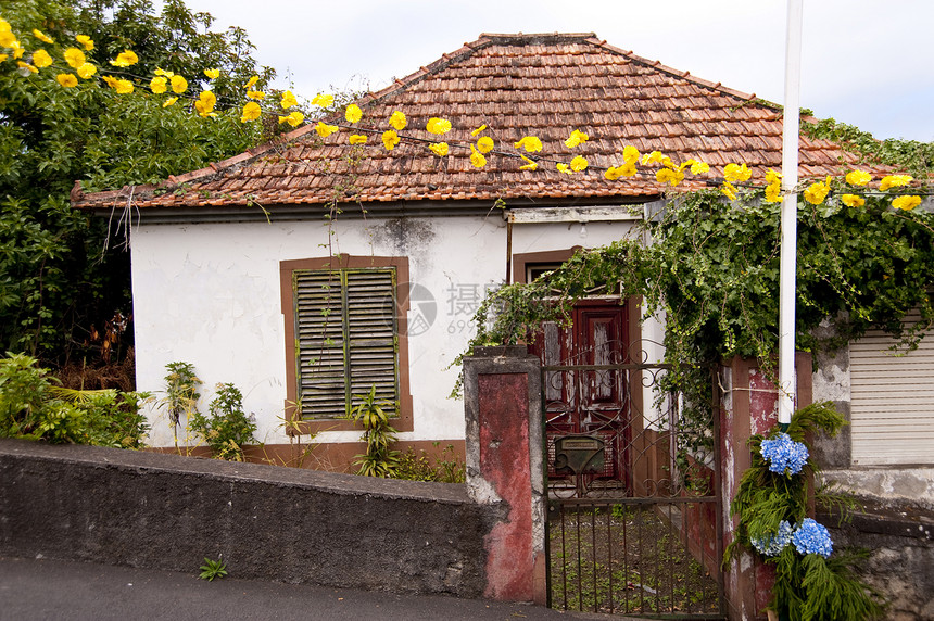 马 提拉房屋街道花园建筑植物群建筑物房子区系小城村庄图片