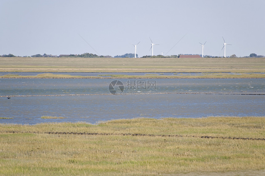 惯者编码泥滩潮汐地海岸图片