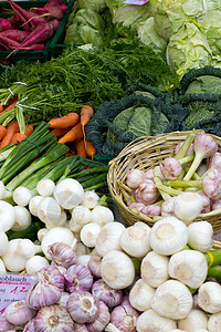 筑地市场蔬菜季节店铺生物甜菜销售沙拉农贸市场生态棕色烹饪背景