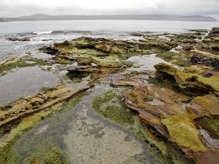 澳洲的野生岩石海岸石头砂岩海景旅行支撑水池美丽海洋沿海荒野图片