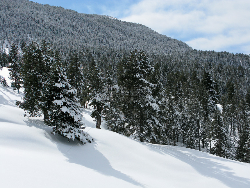 白雪森林乡村蓝色白色公园天气远足美丽国家滑雪黑色图片