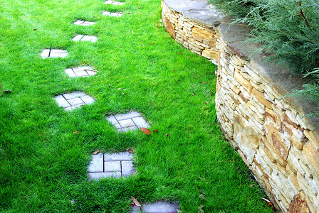 致敬霍金园花园鹅卵石植物植物学衬套路面绿化植物群花园园林石头背景