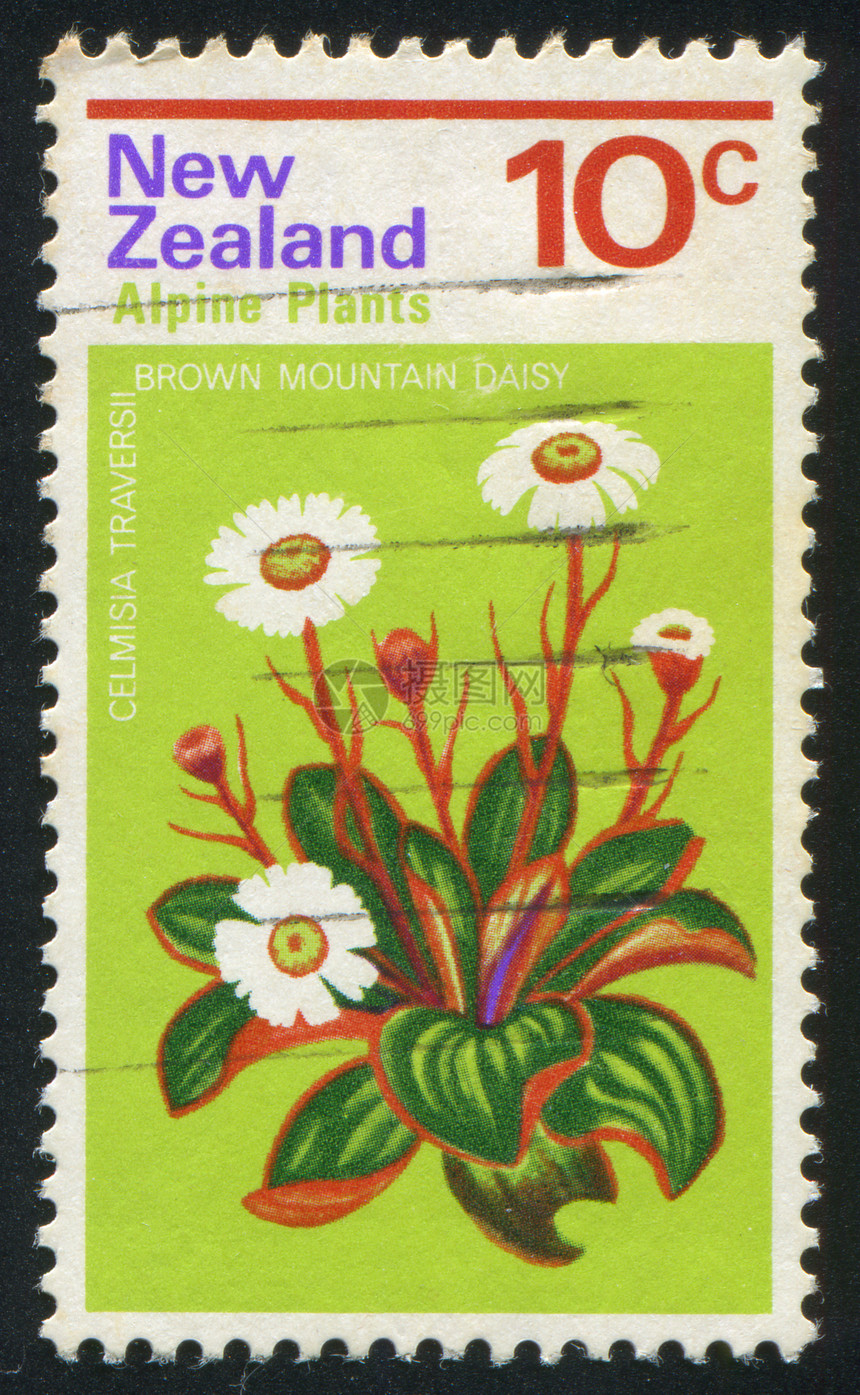驴子邮件邮戳植物邮票公园集邮雌蕊花序温室花束图片
