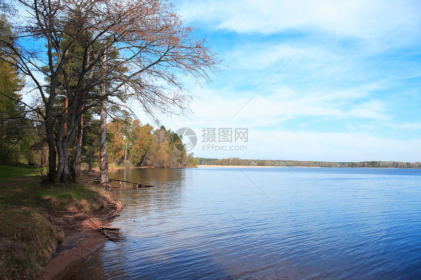 平静湖植物海岸银行海滩波纹天空场景假期旅行森林图片