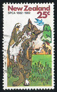 哈咪猫羊年快乐新西兰猫背景