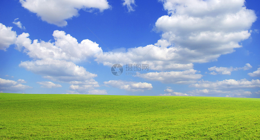 字段农业季节风景远景植物全景天空农场草地阳光图片