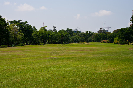 fieldGolf Field 的尼斯码头背景