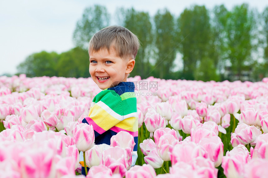 Tullip 域的男孩探索场地郁金香孩子男性生活童年植物群花束季节图片