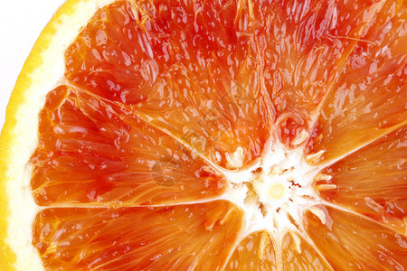 血红橙橙子工作室白色背景图片