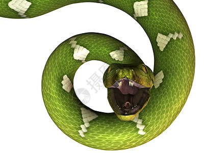 Python 符号爬虫獠牙动物学蟒蛇背景图片