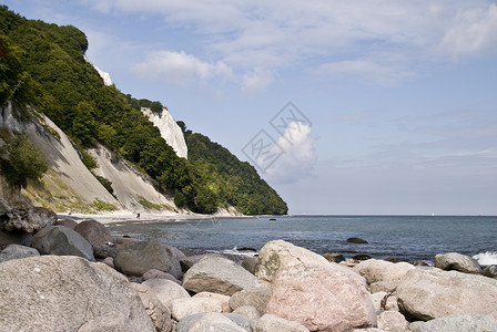 鲁根岛绿色悬崖石头海滩白垩粉笔树木海岸白色高清图片