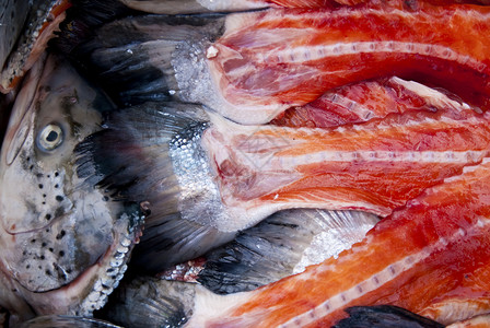 鲑鱼鳟鱼拖网大厅海鲜骨头食物钓鱼市场鱼骨鱼片背景图片