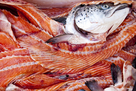 鱼骨头鲑鱼拖网烹饪鱼骨鱼片海鲜渔业大厅骨头市场鳟鱼背景