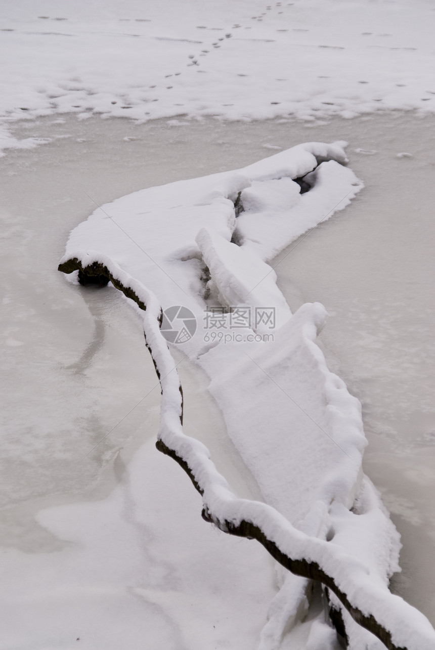冬季现场寒冷白色季节冻结地景图片
