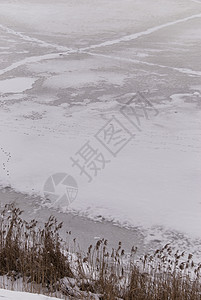 冬季现场季节芙蓉寒冷白色地景鞭策鞭子冻结高清图片