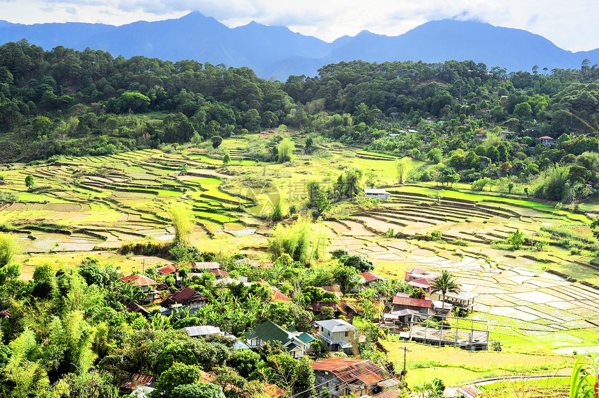 科迪勒拉山村食物植物部落场景房子热带村庄场地收获爬坡图片