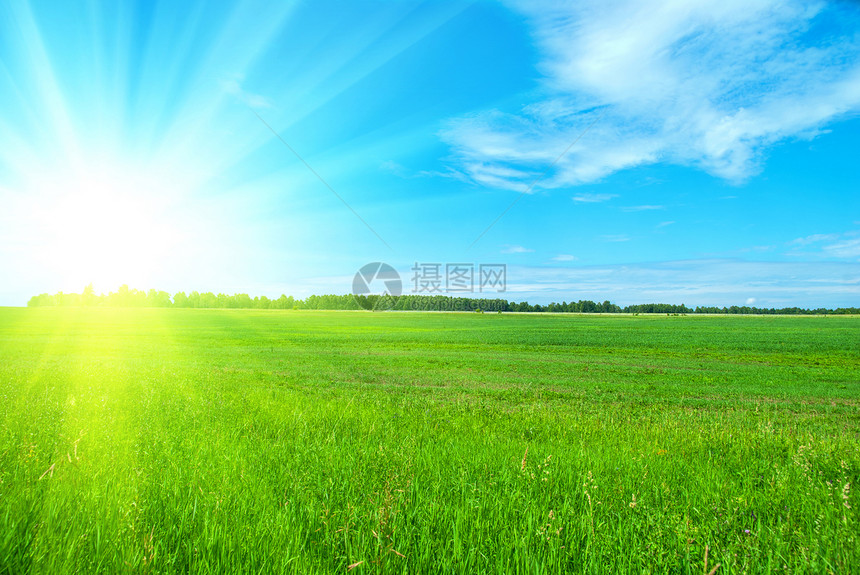 夏间时间太阳草地城市土地场景花园植物阳光牧场天空图片