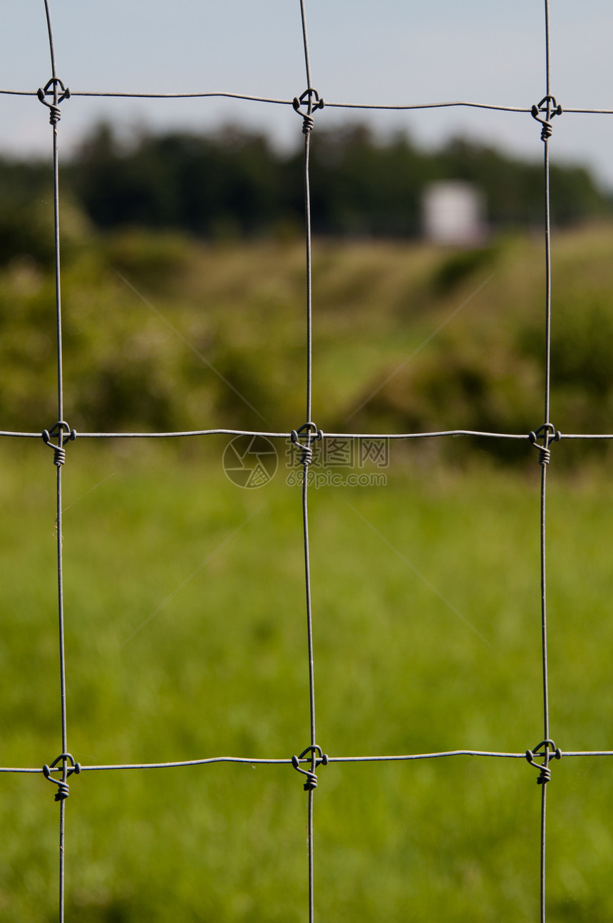 带绿草的电网围栏图片
