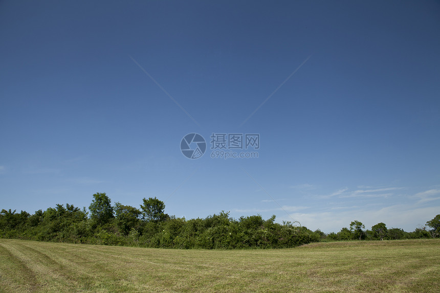 美丽的夏日 蓝色的天空在户外场地绿色活力云景桌面花园晴天植物季节天堂图片