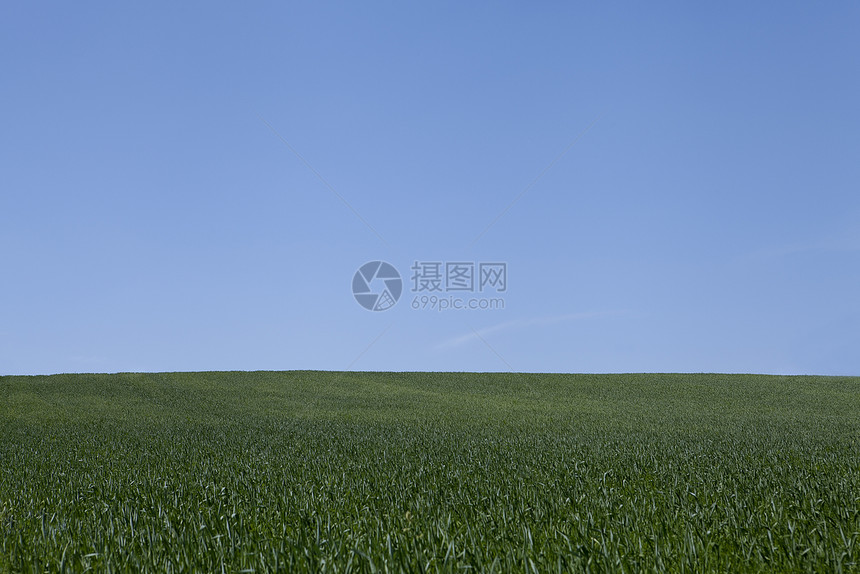 美丽的夏日 蓝色的天空在户外活力云景天气天堂太阳绿色风景晴天植物花园图片