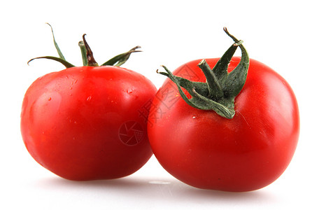 番茄股票白色传家宝照片植物种子相片生长免版税食谱背景图片