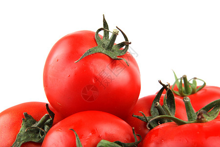 番茄白色食谱免版税库存植物生长股票照片传家宝相片背景图片