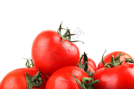 番茄照片相片白色生长植物传家宝种子食谱股票库存背景图片
