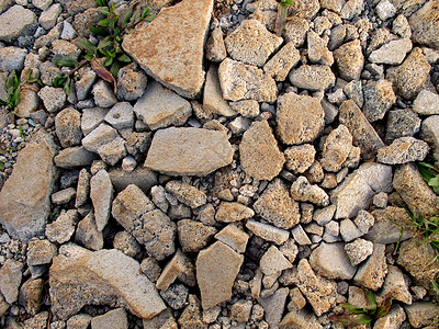 地面碎裂的混凝土建筑树叶水泥岩石石头灰色植物黏土裂缝背景图片