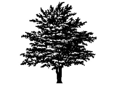 矢量树艺术项目黑色工厂标准孤独插图背景图片
