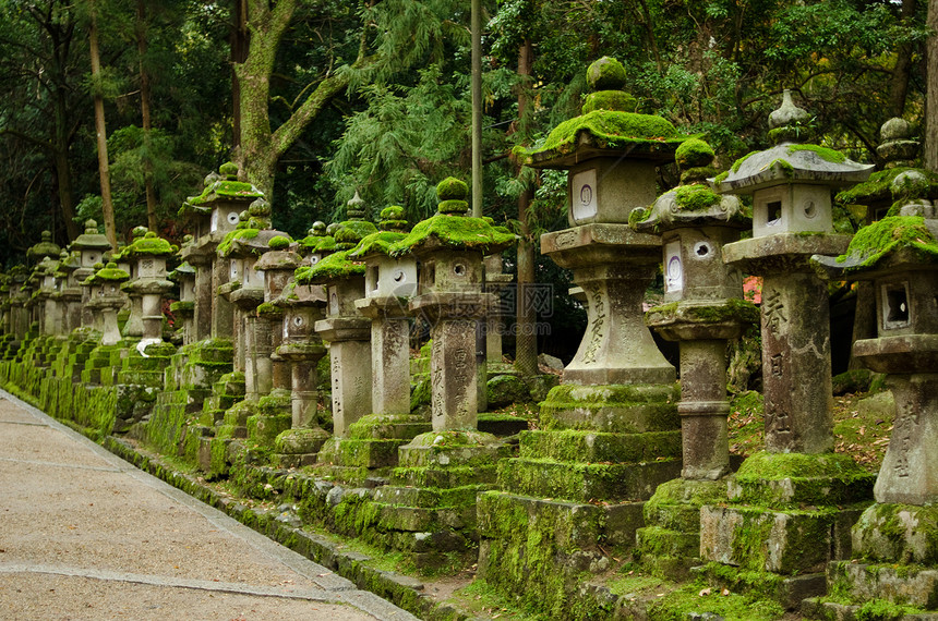 纳拉的石灯苔藓宗教灯笼石头寺庙文化传统神社森林图片