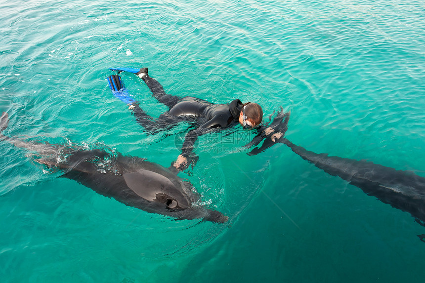 女人和海豚一起游泳图片