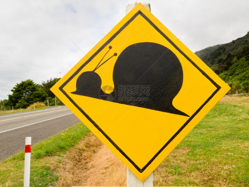 Kauri Snail交叉路标标志图片