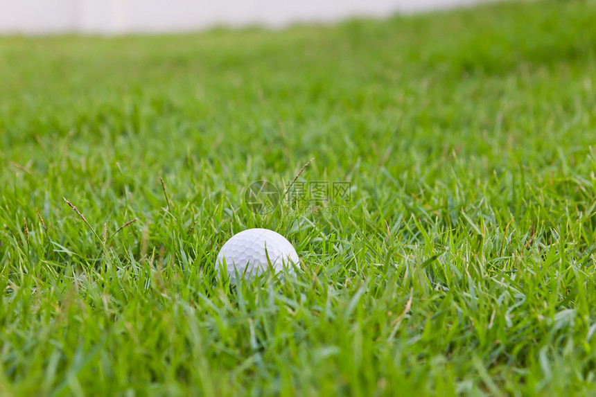 草地上高尔夫球运动绿色竞赛圆形曲线圆圈游戏俱乐部蓝色爱好图片