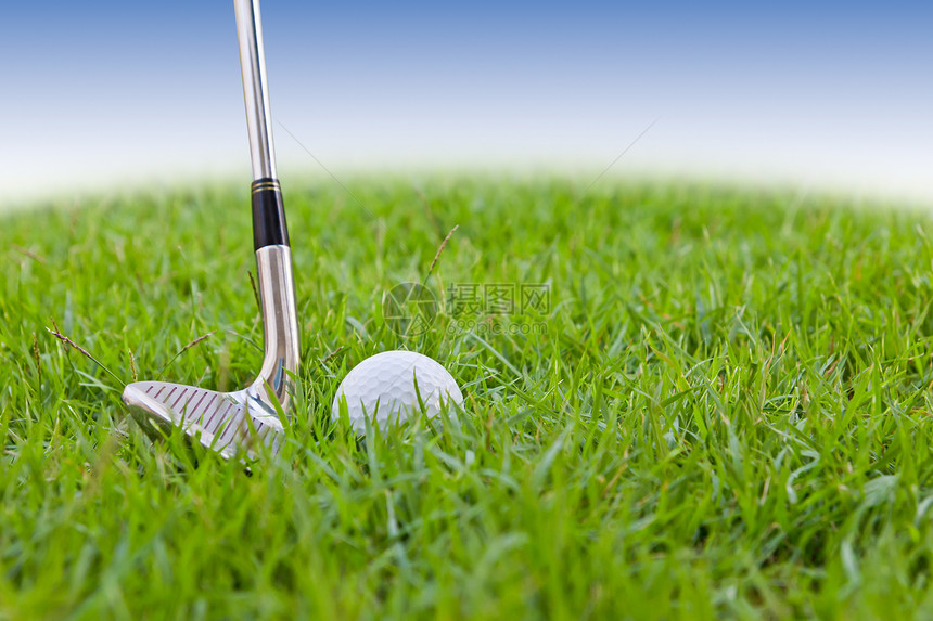 在高草上打高尔夫球和铁蓝色空白圆圈爱好绿色游戏圆形运动草地俱乐部图片