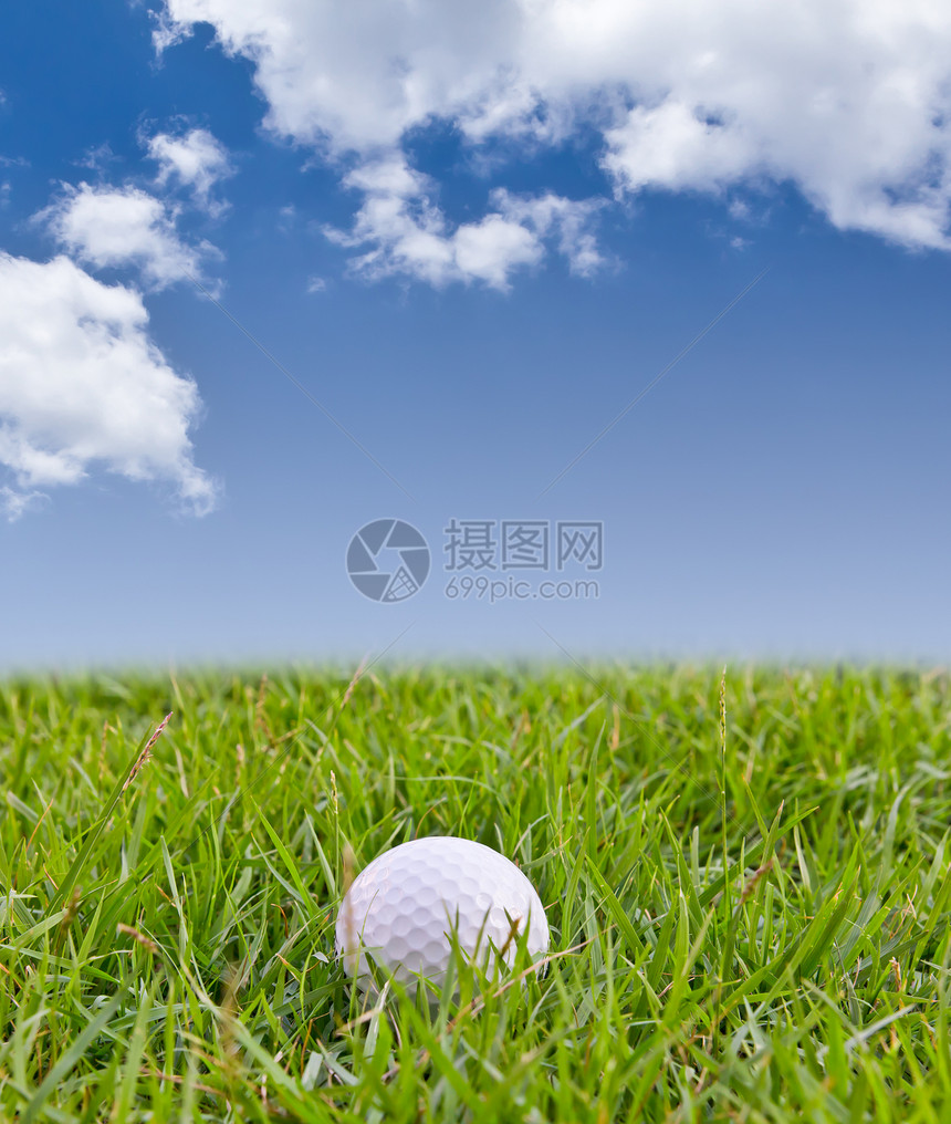 高草上的高尔夫球竞赛游戏草地曲线运动圆形蓝色俱乐部圆圈爱好图片