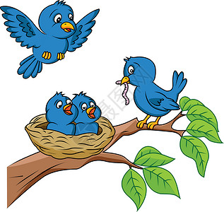 鸟吃虫鸟鸟家庭野生动物小鸡卡通片公告食物木头母亲植物乐趣叶子插画