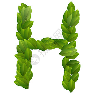 绿色树叶字母H高清图片