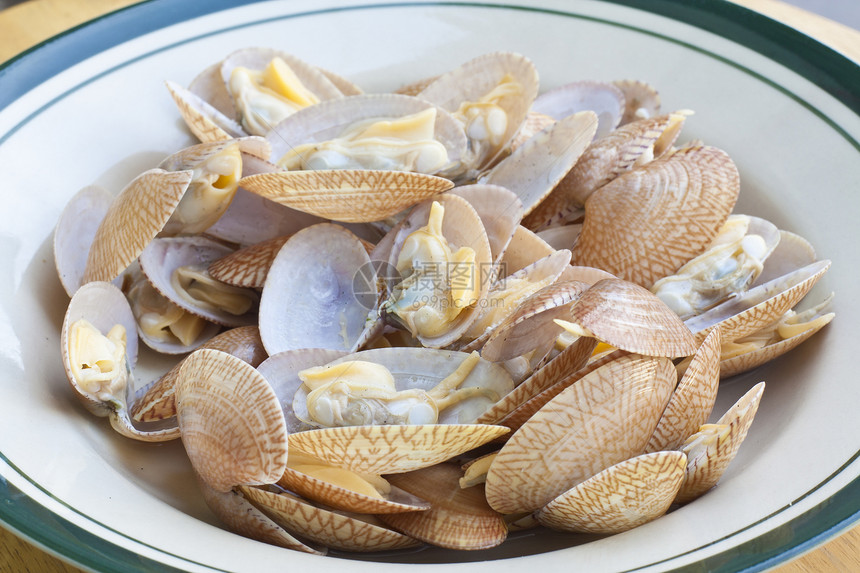 蛤宏观贝类海鲜烹饪动物商业蛤蜊美食盘子餐厅图片