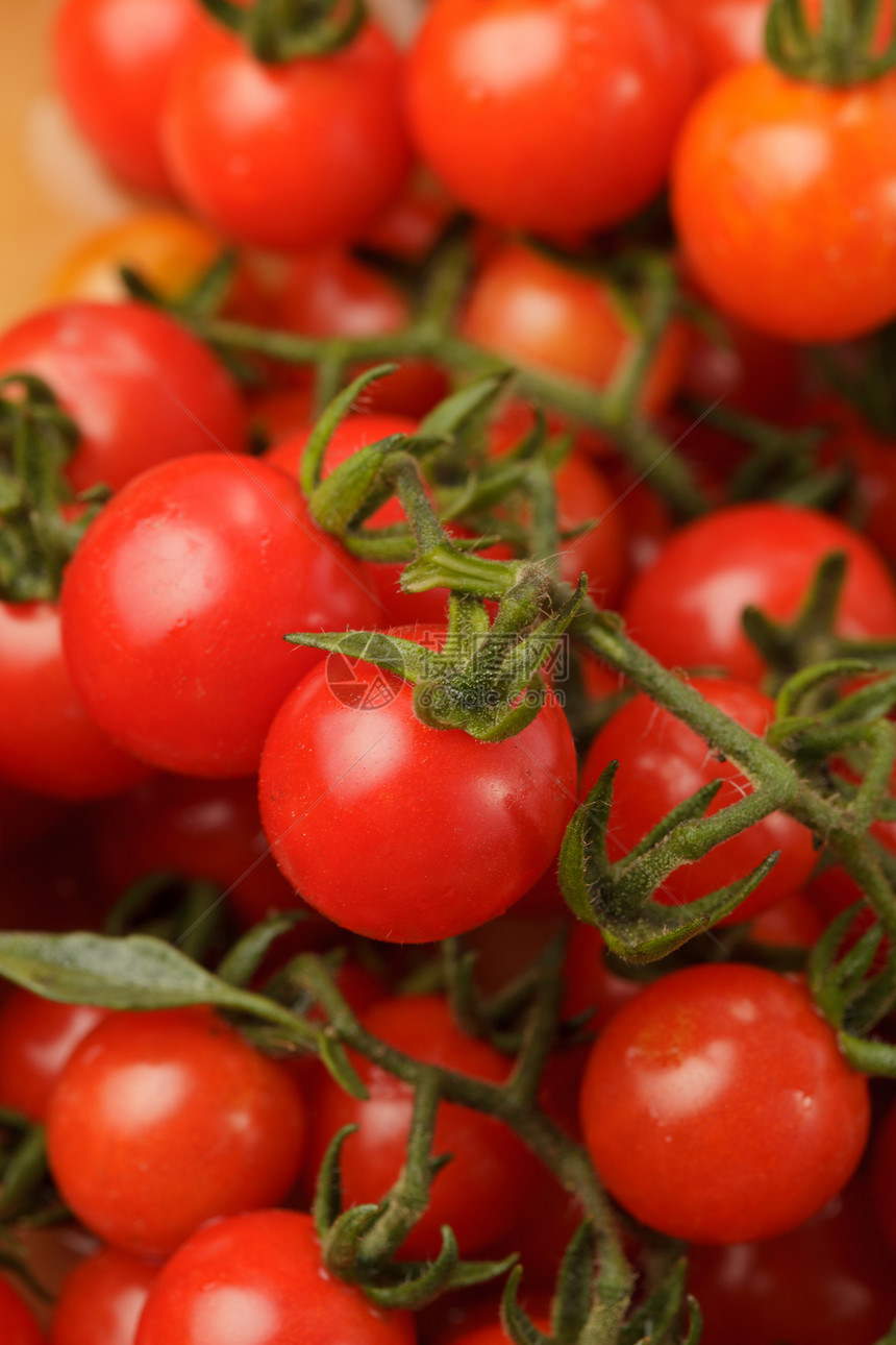 樱桃番茄营养烹饪食物宏观树叶蔬菜植物飞沫饮食团体图片