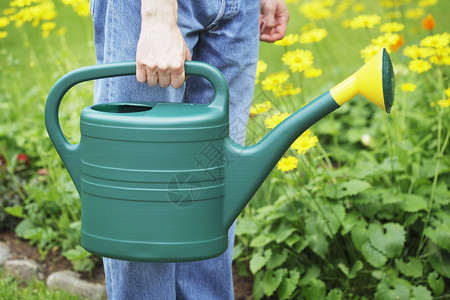 水罐喷壶喷口园艺花园爱好塑料绿色琐事背景图片