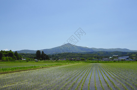 希默卡米山和牧区景观背景图片