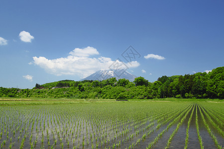 伊瓦特山和牧区景观绿色国家田园天空农场蓝色村庄场地蓝天背景图片