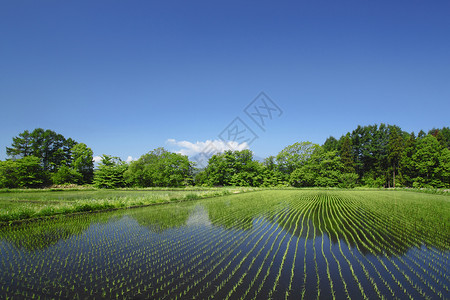 伊瓦特山和牧区景观国家村庄农场蓝色蓝天场地田园天空绿色背景图片