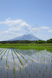 伊瓦特山和牧区景观蓝色绿色国家田园天空农场场地村庄蓝天背景图片