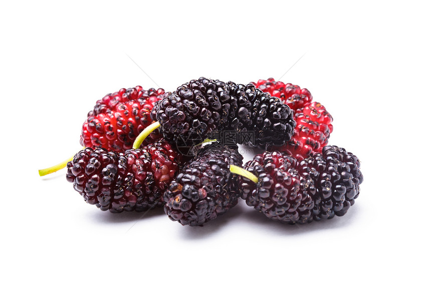 Mulberry 浆果水果梧桐素食物红色采摘荒野绿色宏观白色团体图片