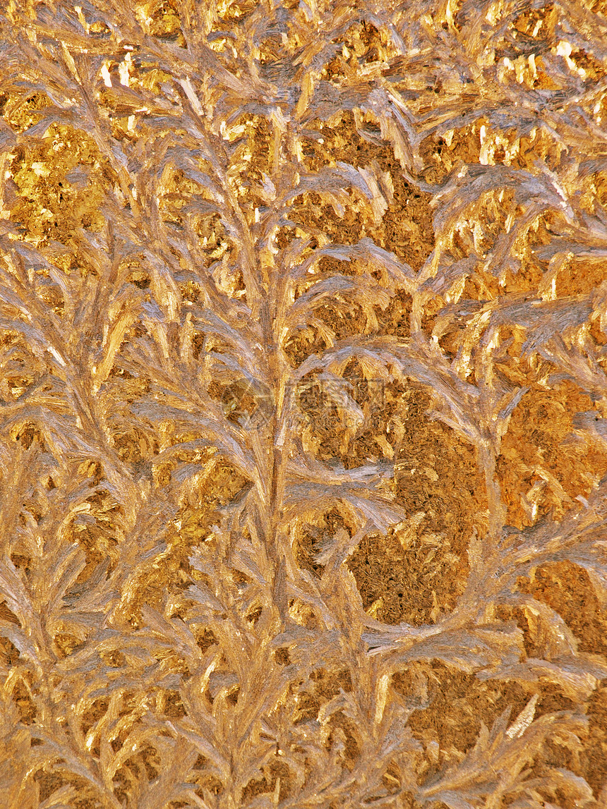抽象的金霜模式图片