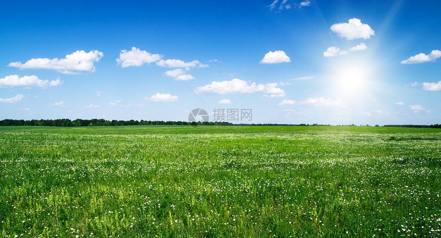 字段土地草地季节乡村全景远景场地植物天空阳光图片